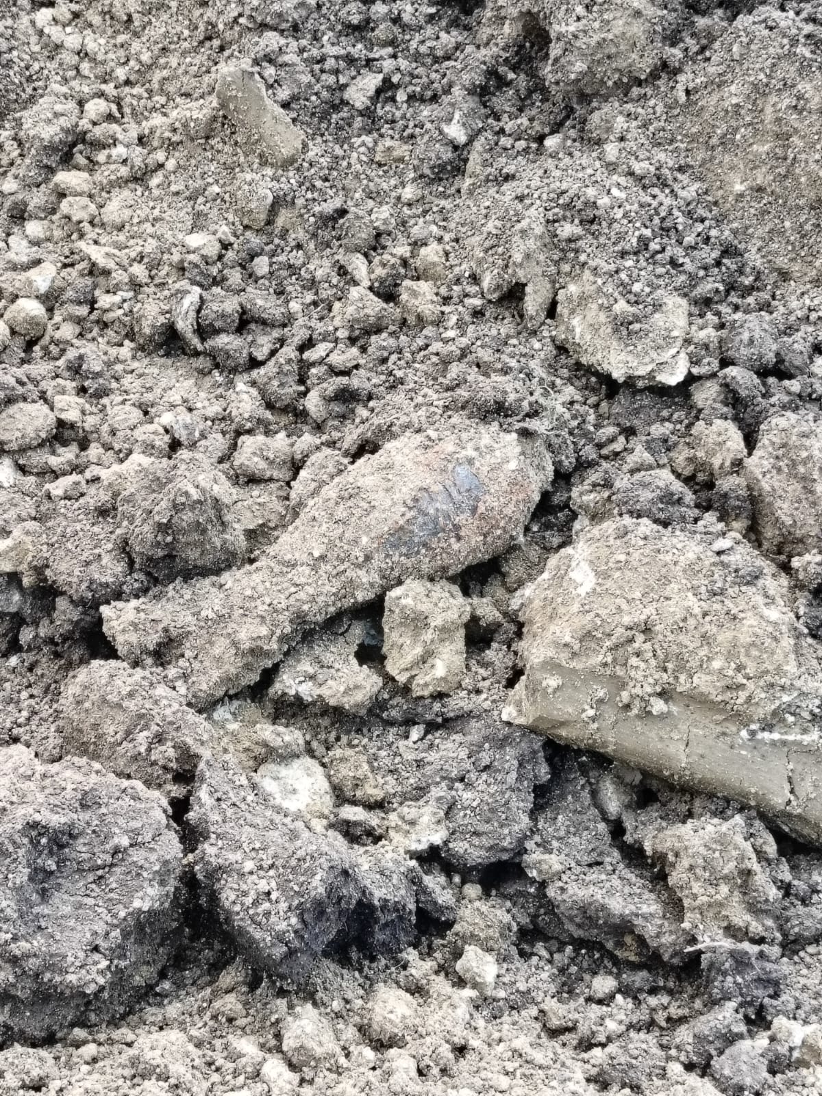 Bombă provenită din Al Doilea Război Mondial dezamorsată de pirotehniștii ISU
